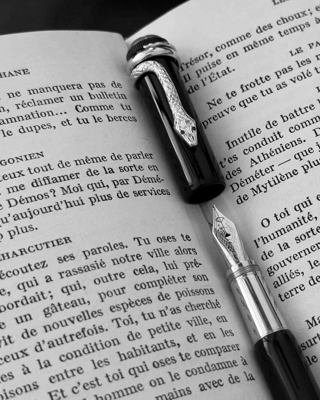 RM Tutoring French Language Arts book with pen, symbolizing language learning and education in French.